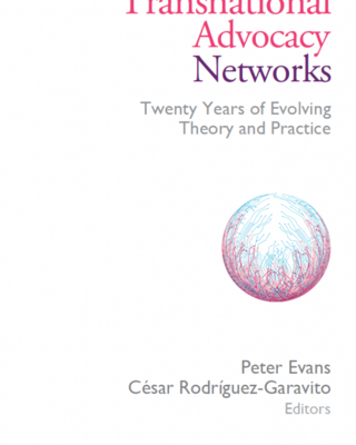 transnational-advocacy-networks-639x1024.png